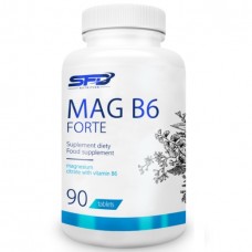 MAG B6 FORTE, 90 tabs