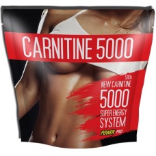 Carnitine 5000, 0,5кг